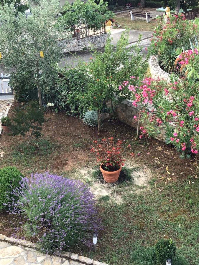 Apartmani Misic Ždrelac エクステリア 写真